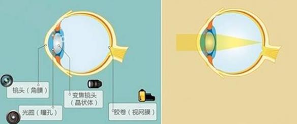 怎么佩戴老花鏡？驗(yàn)光 品牌 質(zhì)量 保養(yǎng)一個(gè)都不能少