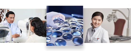 美麗島多焦鏡 美麗島多焦鏡