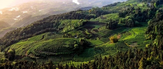 美麗島多焦鏡：這個明凈新春，以時間為軸，扶搖直上